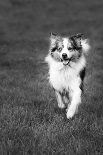 IMG 1914-Modifier